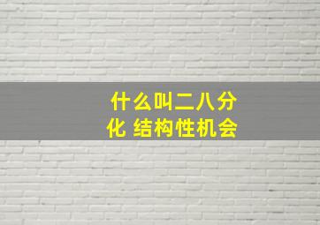 什么叫二八分化 结构性机会